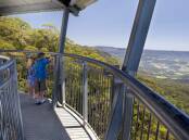 Up high: Illawarra Fly offers a treetop walk and zipline tour.