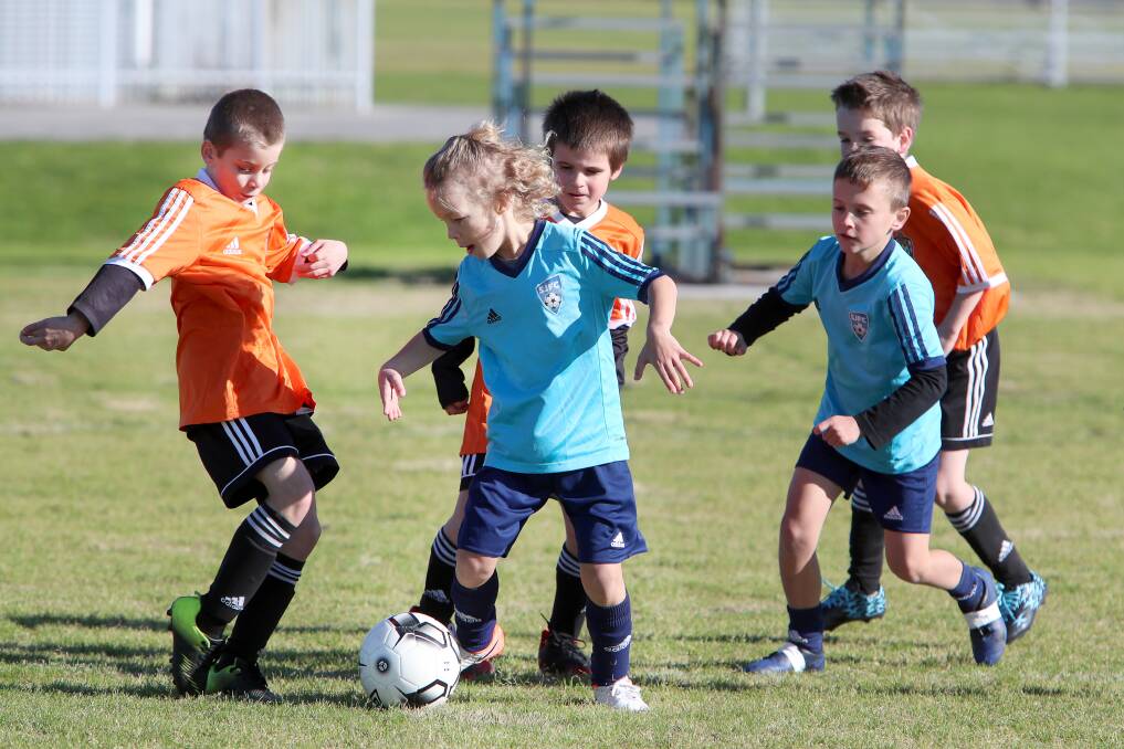 BACK ON COMMON GROUND: Shellharbour's Flynn Jacob weaves past his Lakeside under-8 opponents as Football South Coast juniors returned to action at Myimbarr Fields. Picture: Sylvia Liber