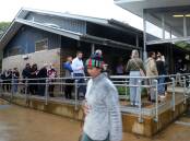 Voters queue at Wollongong Public School. Picture: Sylvia Liber