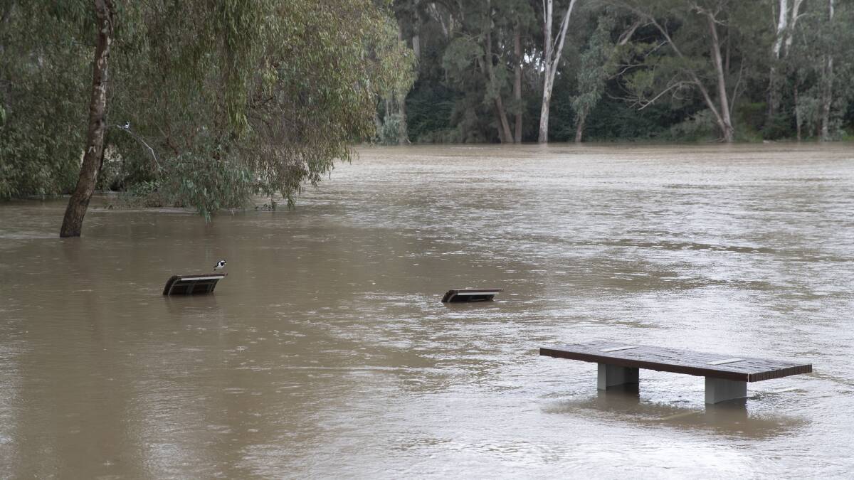 Popular inland swimming spots like Wagga Beach, pictured here flooded in early August and which is again flooding this month, is likely to be a swimming risk after water levels recede. Picture by Madeleine Begley 