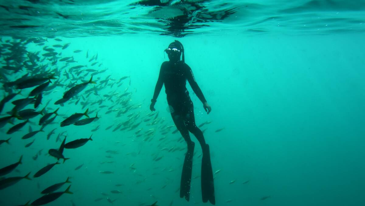Chrissy Pignataro free diving in Jervis Bay.