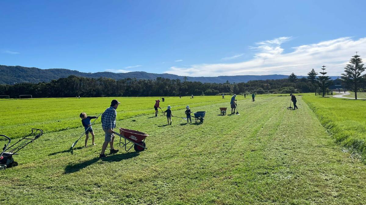 Parents and players took to the field, minus boots but with gardening gear, at the Towradgi fields. Photo: supplied