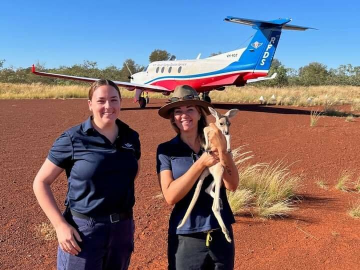Every day the Flying Doctor helps eight people in need in the Northern Territory - and sometimes we even rescue wildlife. Picture by RFDS Darwin Tourist Facility.