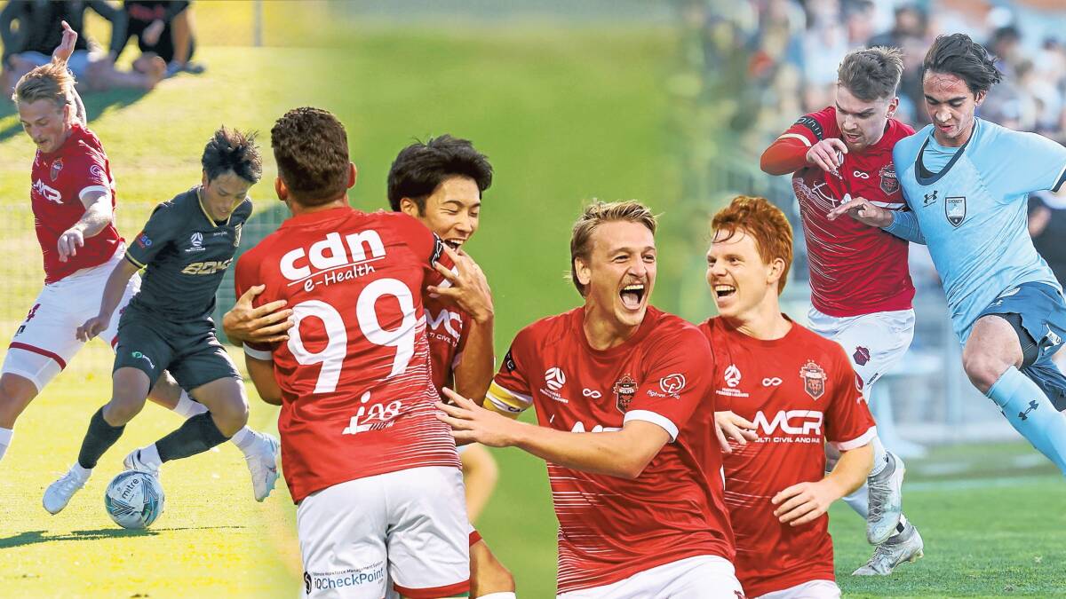 Who are the major players for Wollongong Wolves in 2024? Pictures by Adam McLean, Anna Warr and Wesley Lonergan