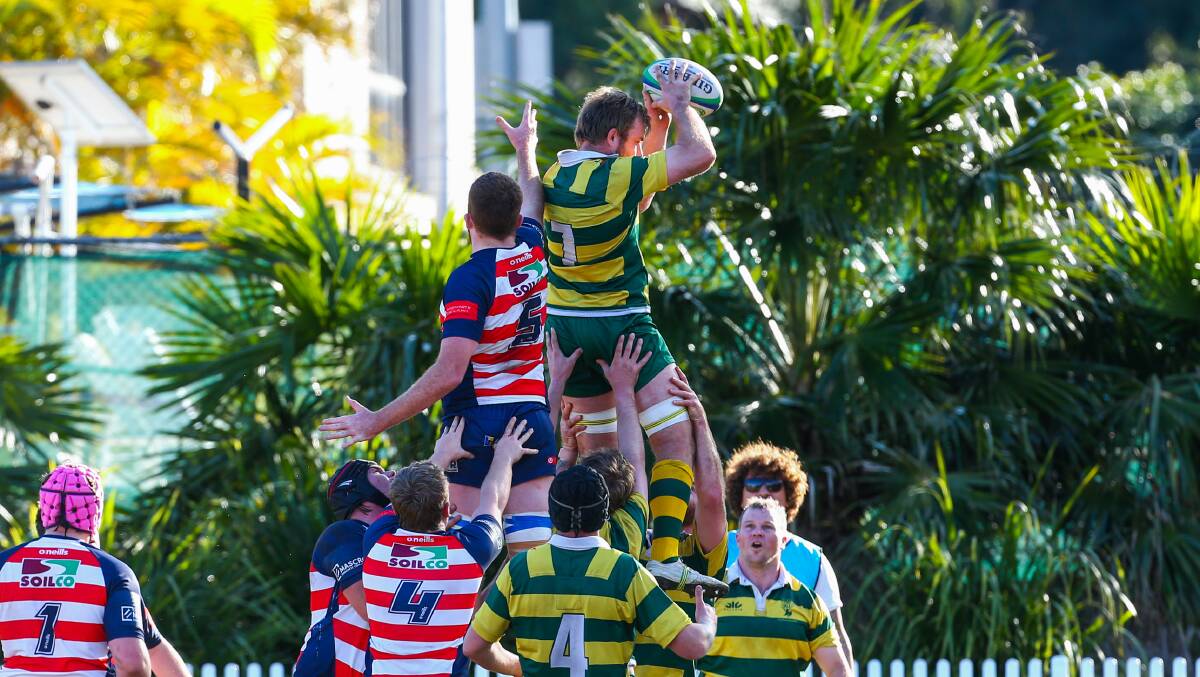 Rising high: Shoalhaven were dominant against University on Saturday. Picture: Wesley Lonergan