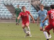 Harrison Buesnel has been a mainstay in the heart of defence for the Wollongong Wolves in 2024. Picture by Robert Peet
