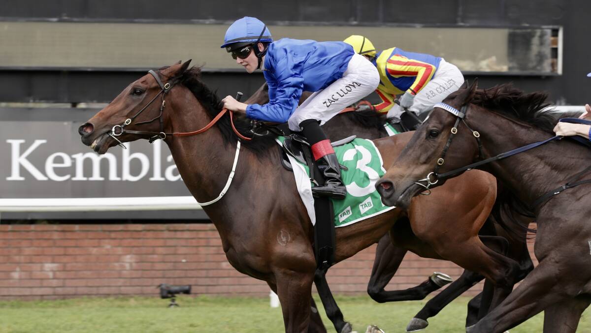 Zac Lloyd won his biggest career race with Athelric. Picture by Adam McLean