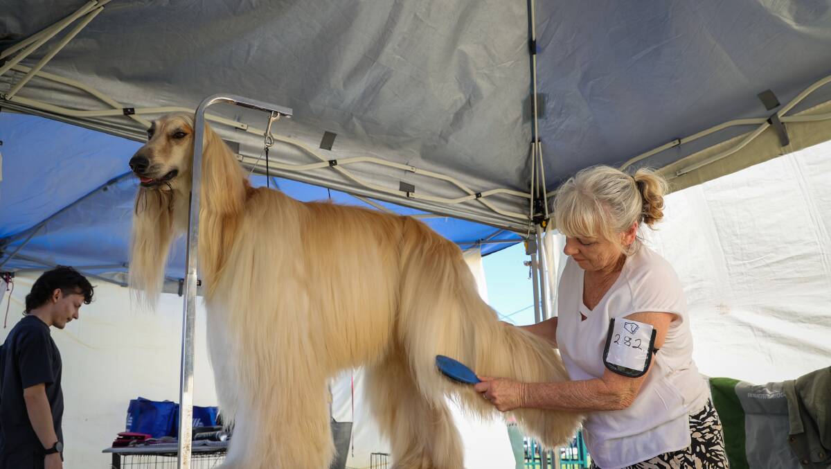 Heather Leslie and her Afghan hound Manny. Picture by Wesley Lonergan