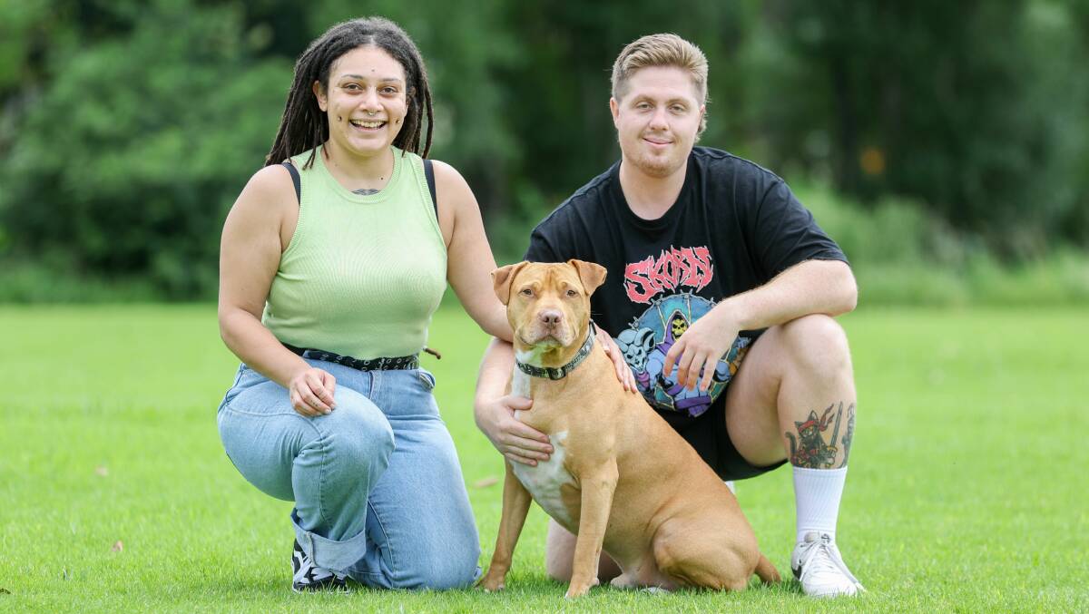 Figtree woman Maddie Marle with Bossy the American staffy mix dog, and Brad Heap in Figtree Park. Picture by Adam McLean