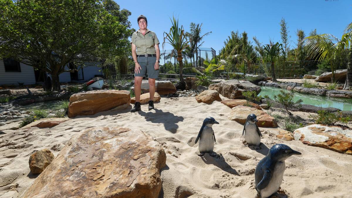 Zookeeper manager Julie Mendezona standing with penguin statues at a new enclosure for little penguins at the Symbio Wildlife Park on November 26, 2023. Picture by Adam McLean