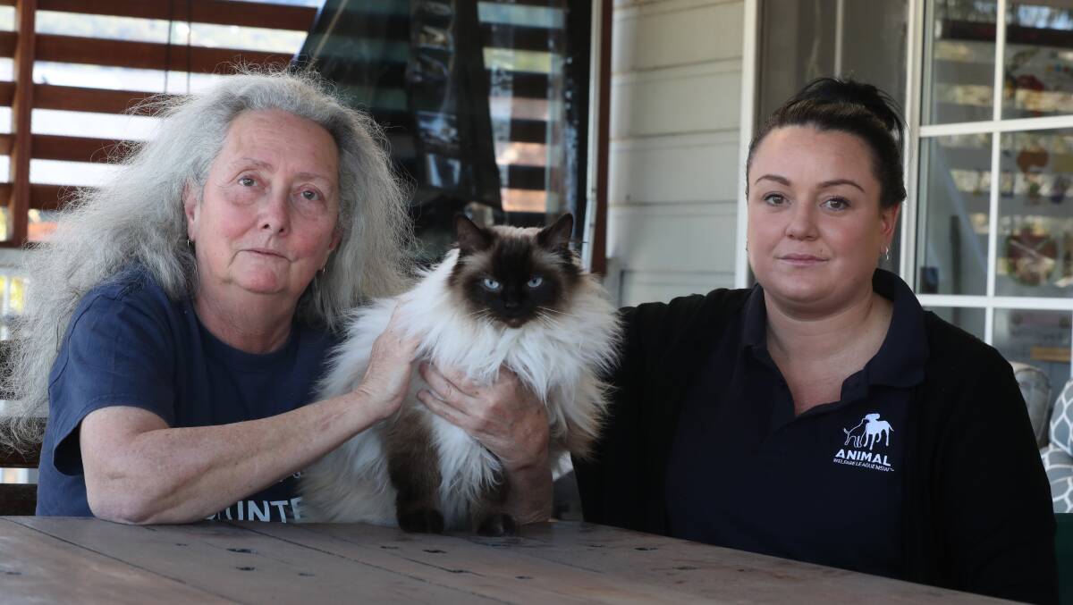 Donna Ashelford and Reannon Mendez from the Animal Welfare League with cat Roxanne on August 17, 2023. Picture by Robert Peet