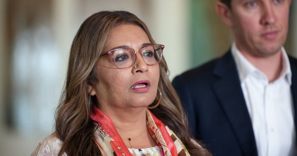 Mehreen Faruqi says she has also experienced racism in the Greens following Lidia Thorpe comments