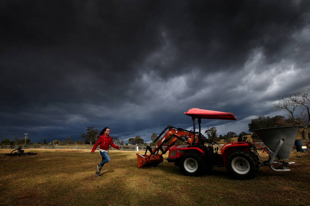 August 19: Rain clouds roll over Ian Frith's alpaca farm in Berry as farms across the Illawarra and South Coast battle with low rainfall. Picture: Sylvia Liber.