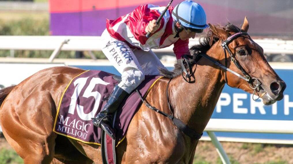 Class: WA-owned mare Arcadia Queen is now with Chris Waller. Picture: Twitter