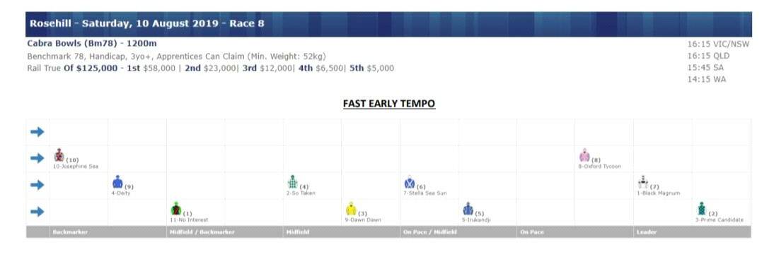 Expected: Stewards' pre-race speedmap for Race 8 at Rosehill on Saturday. Picture: racingnsw.com.au