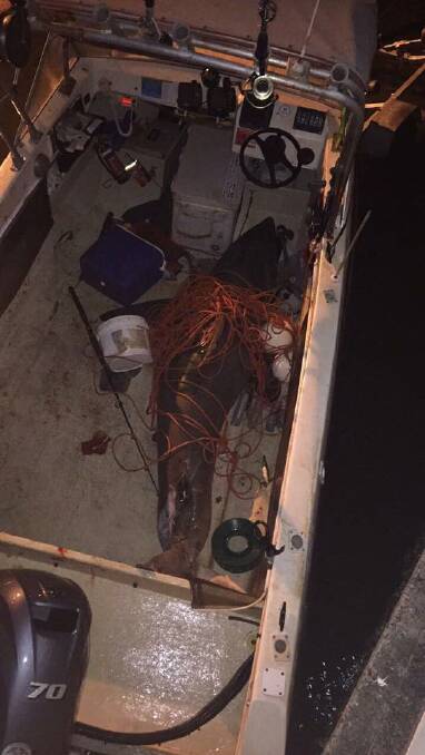 The great white shark leapt into the fisherman's boat. Photo: Marine Rescue Evans Head