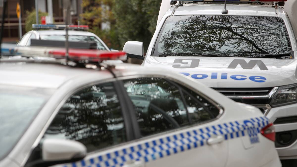 Police officers spat at, punched after call out to Dapto home