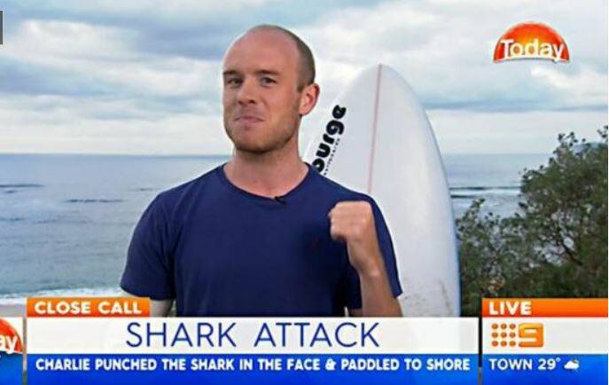 Charlie Fry punched a shark "in the nose" when it jumped at him on Monday.