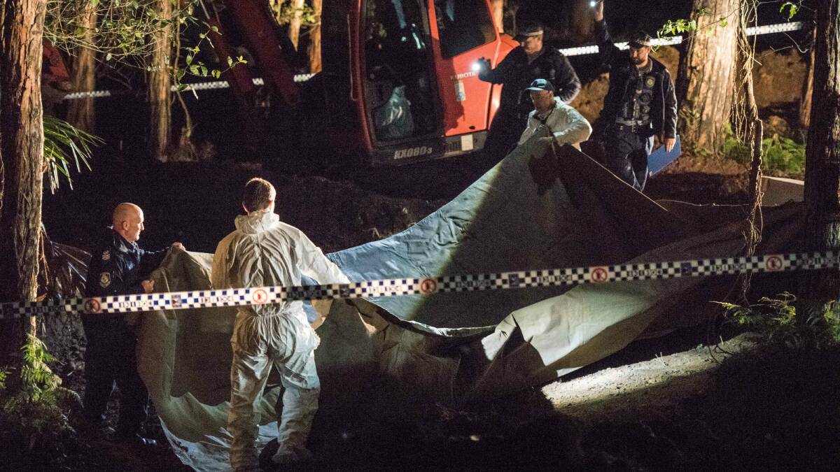 NSW Police and Forensic Services cover the suspected remains of Matthew Leveson in the Royal National Park at Waterfall in May. Photo: Wolter Peeters