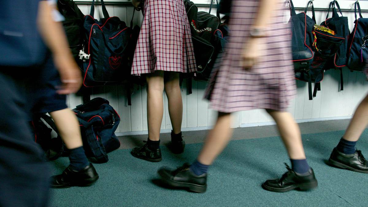 Eight-year-old Illawarra student allegedly assaulted by teacher