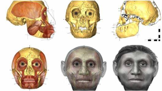 Dr Hayes works with the skeletal remains of modern humans and ancient hominins to approximate their facial appearance, as she did in the case of the Flores "hobbit". Picture: Supplied