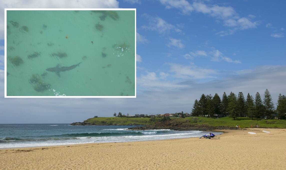 Kiama's Surf Beach was evacuated on Monday after a shark sighting. Inset: A two-metre white shark was spotted at Bherwerre on the South Coast about noon on Monday. Picture: SharkSmart

