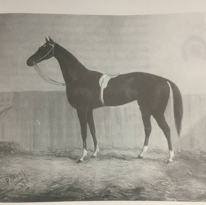 STRIKING IMAGE: Postboy as seen in Silks and Saddles written by George Stevens. He won the 1857 Grand Annual Steeplechase. 