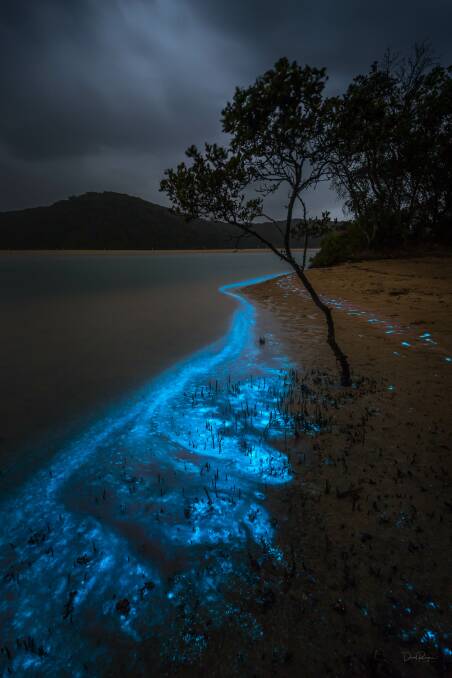 This image of bioluminescent algae at Tathra by photographer David Rogers is circulating on social media.