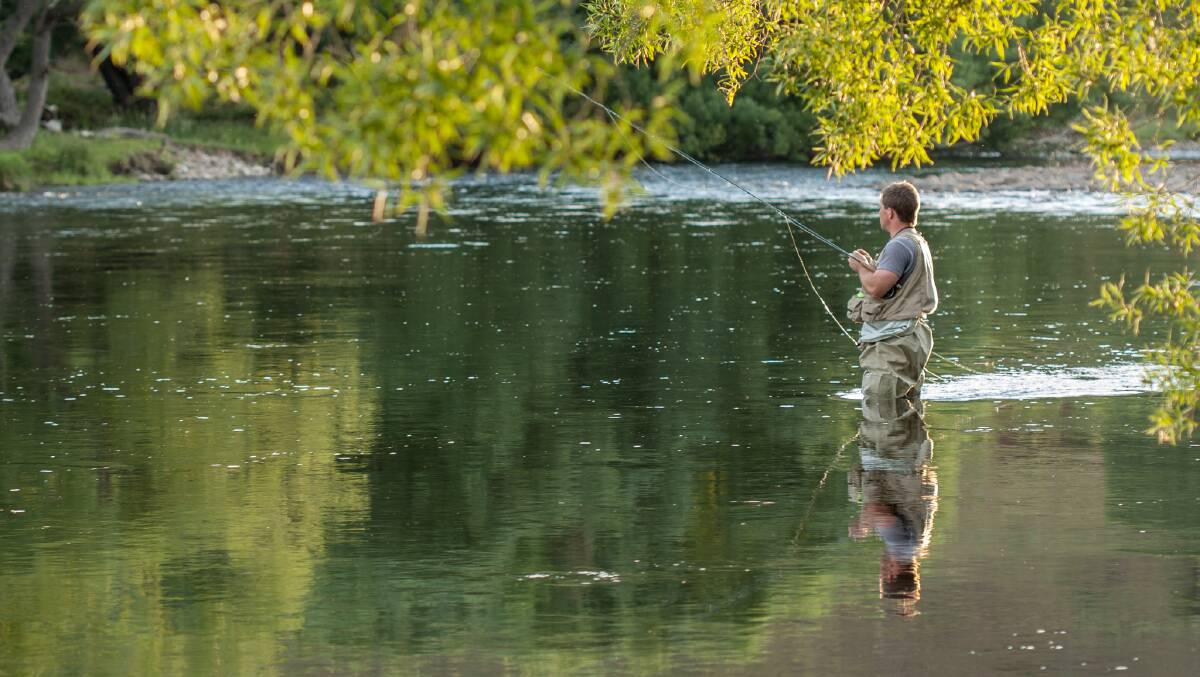 Trout season in NSW officially opens this Saturday, October 5. Photo: Alistair McBurnie.