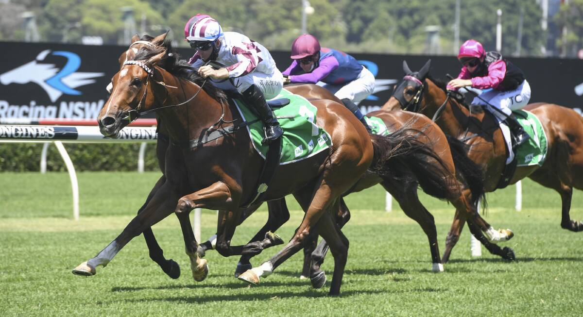 Hit the line: Tom Berry and Art Cadeau power towards the finish line during the TAB Highway Handicap at Randwick on January 23. Picture: BradleyPhotos.com.au
