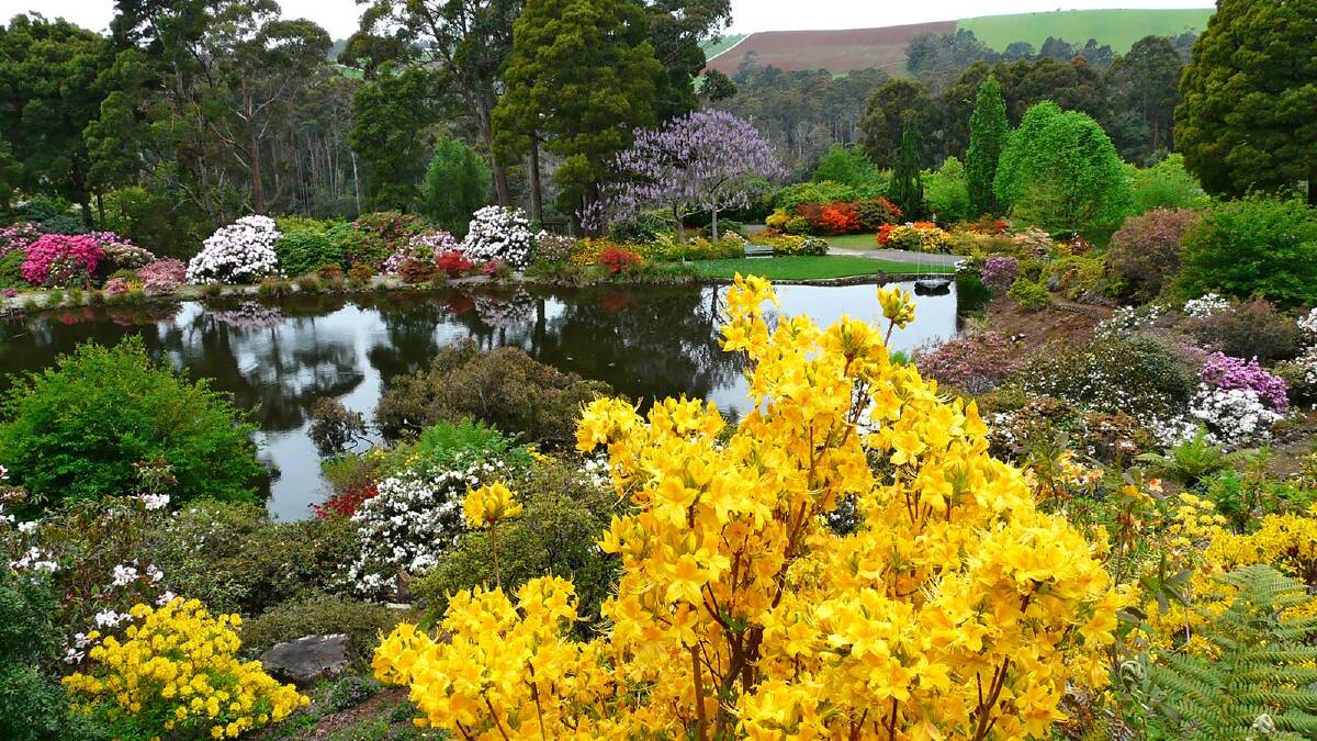 The Gardens are an absolute celebration of colour and fragrance. 