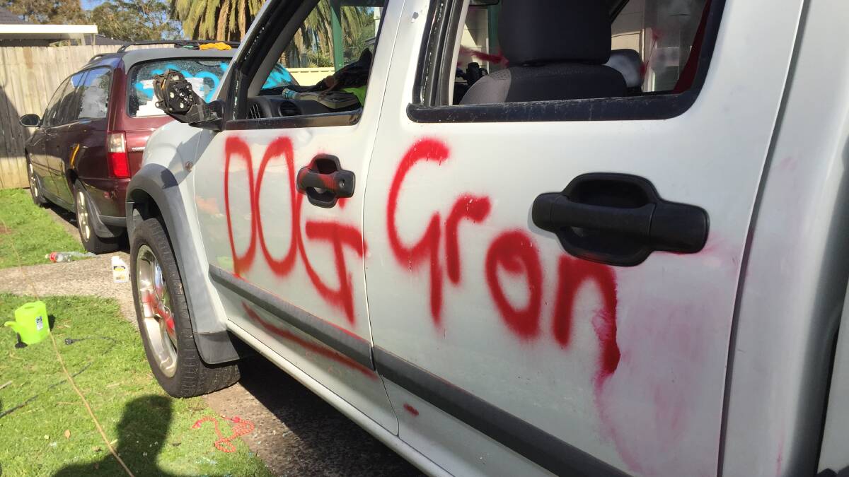 Defaced: A number of cars in Scobie Crescent, Bellambi were also vandalised with spraypaint. 