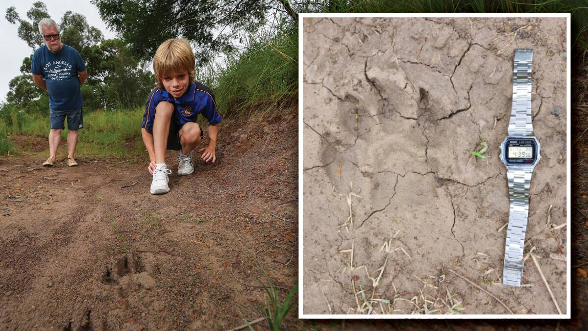 Phillip Lamond and grandson Oliver with the paw print the young boy found at Bulli while walking the dog. Mr Lamond figures the size means it can't be anything else other than the mysterious black panther that is rumoured to roam the escarpment. Pictures by Adam McLean and Phillip Lamond.