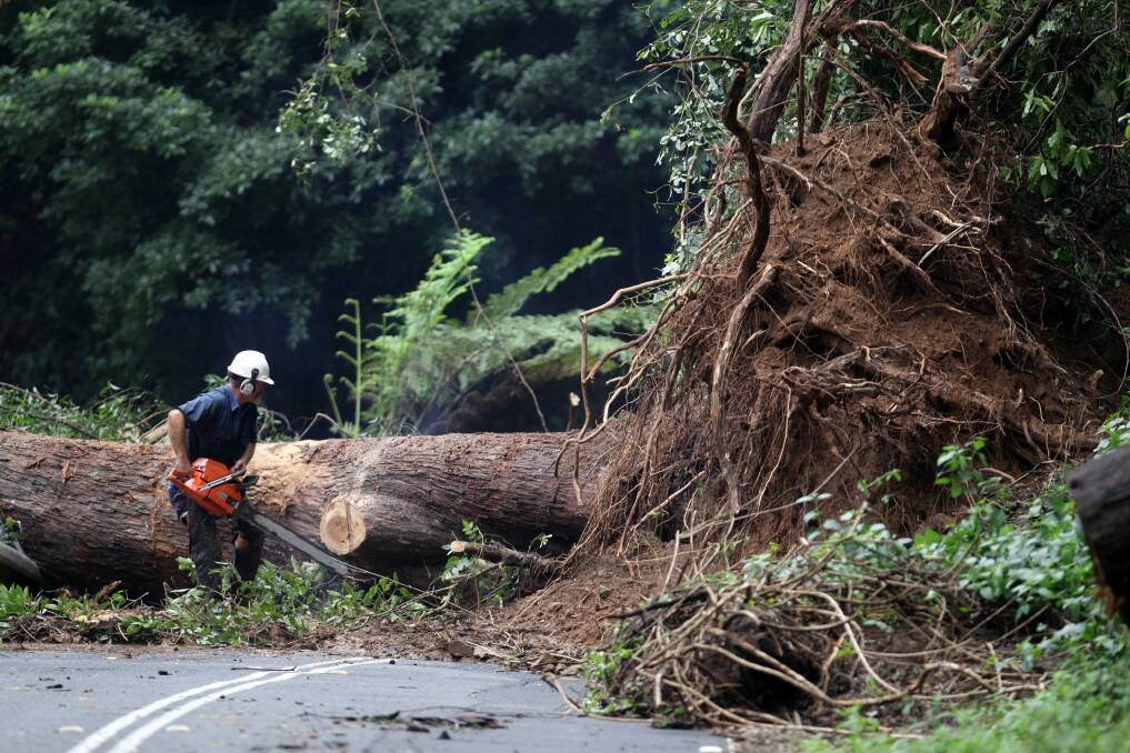 A worker removes a giant tree that blocked Jamberoo Mountain Road in 2011 - the ongoing issues with the road means Kiama Council wants the state government to take over. Picture by Greg Totman