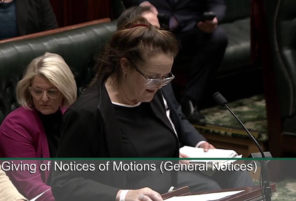 Access: Shellharbour MP Anna Watson in parliament calling on the state government to provide on and off ramps to the M1 Princes Motorway for Dapto residents. Picture: supplied