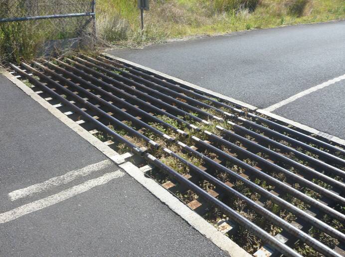 Lifesaver: An example of a koala grid, one of which will be installed off Picton Road as part of moves to protect the marsupial. Picture: Transport for NSW