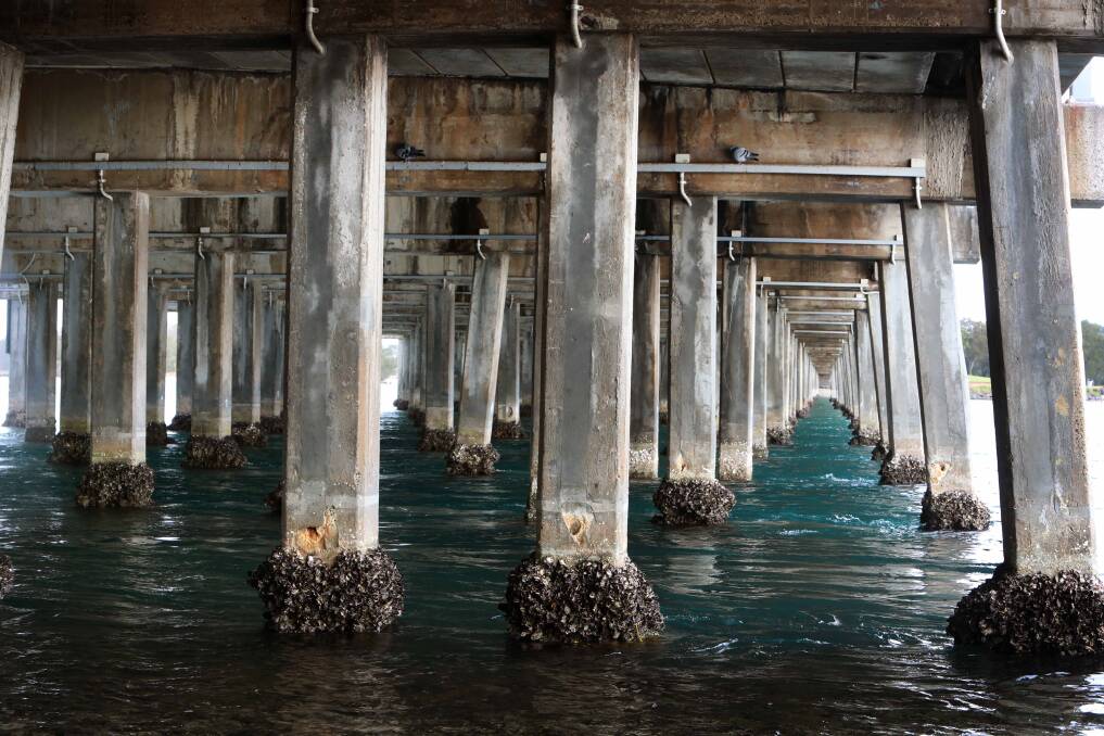 The piers under Windang Bridge will undergo further work early next year to ensure they remain stable. Picture by Sylvia Liber