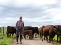 Schottlanders Wagyu owner Gerhard Baden has lodged another development application to build a micro-abattoir on his cattle farm. Picture by Sylvia Liber