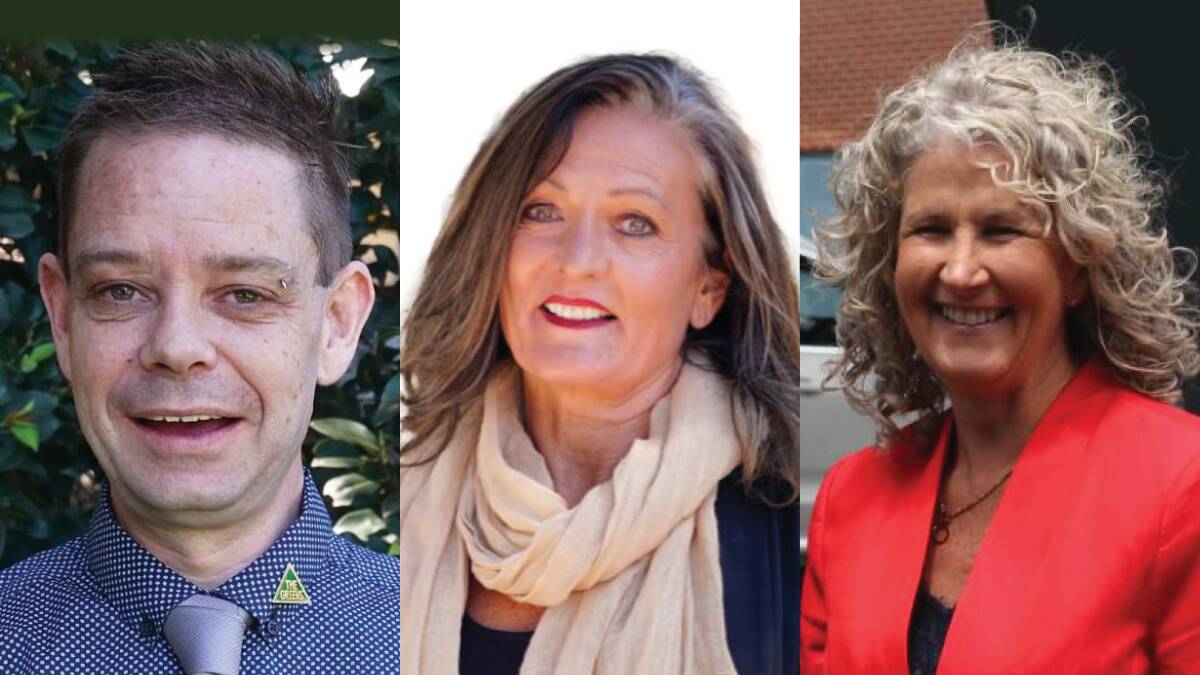 Shoalhaven City Council candidate Bradley Stanton has joined councillors Tonia Gray and Liza Butler in contesting Illawarra seats in the upcoming NSW election.