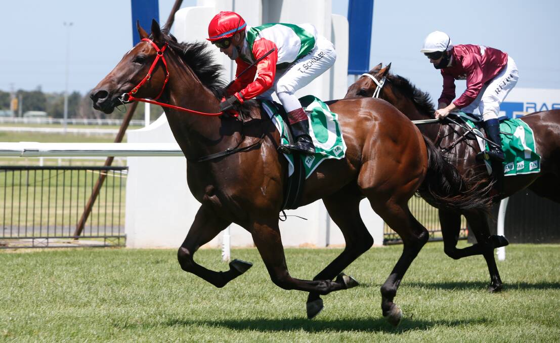 CHARGING AHEAD: Paper Daisy, ridden by Tyler Schiller, salutes in race two, the Maiden Plate over 1000 metres at Kembla Grange on Saturday. Picture: Anna Warr