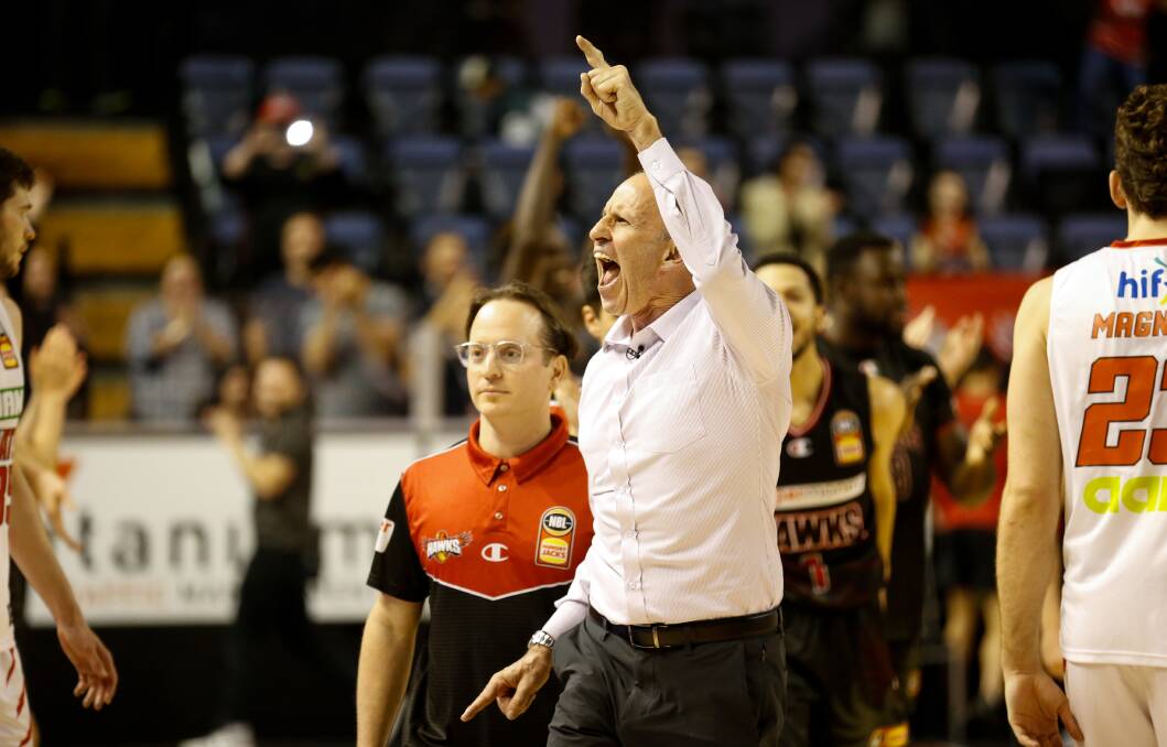 TRIUMPH: Coach Brian Goorjian celebrates after a Hawks win over the Wildcats at the WEC last month. Picture: Anna Warr