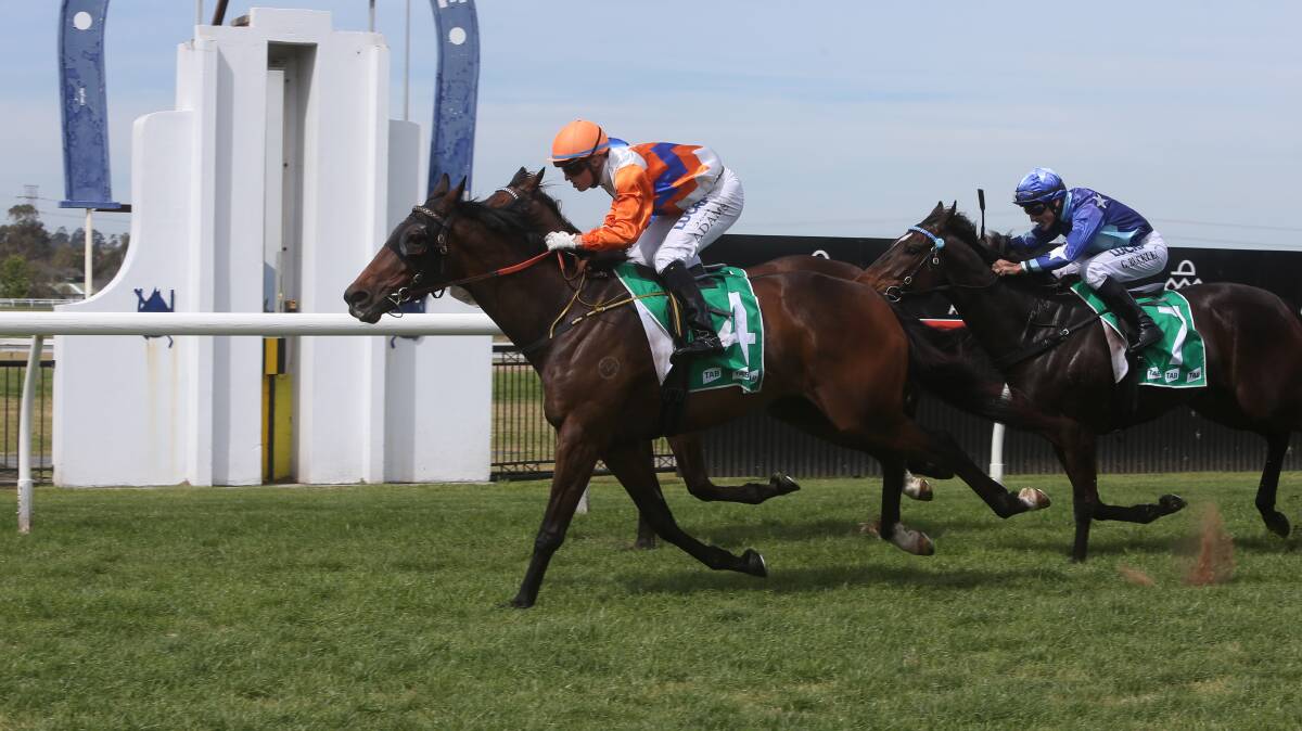 IN FRONT: Cuban Royale will eye off victory at Kembla Grange this Saturday. Picture: Robert Peet