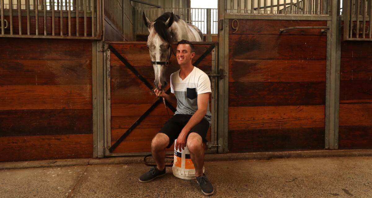 WELL PREPARED: Co-trainer Luke Price hopes his mare Eugene's Pick can win this Saturday. Picture: Sylvia Liber 