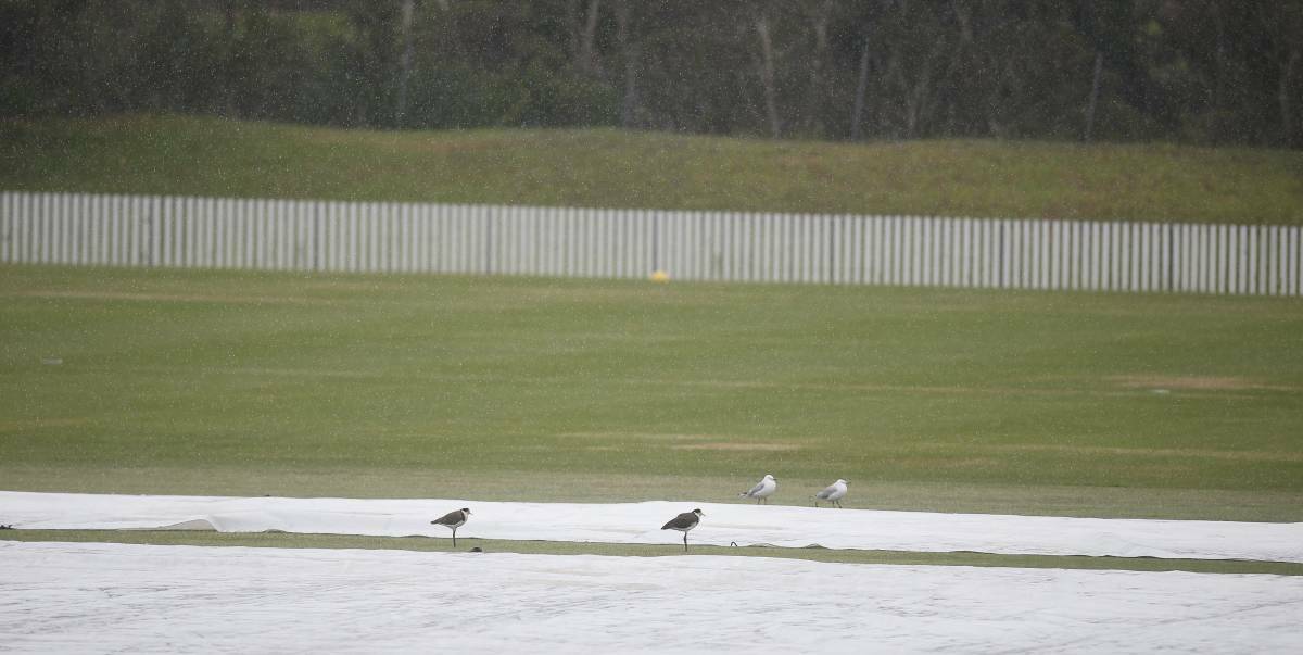 A couple of birds enjoy the covers on the ground at North Dalton Park last Sunday. Picture: Anna Warr