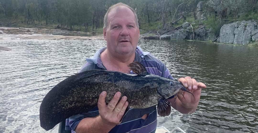 Tasty: Darren Macqueen with an eel-tailed freshwater catfish. The species is native to the Murray-Darling river system.