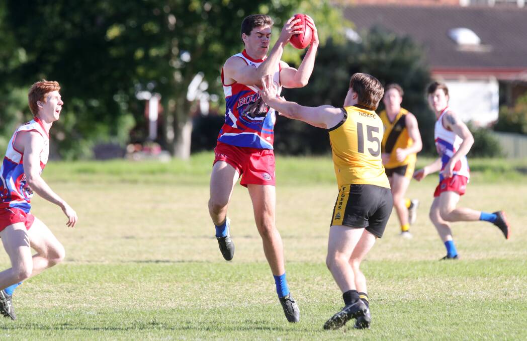 WORKING HARD: Wollongong Bulldogs player Eddie Keogh rises up to take a mark during a recent game against Northern Districts. Picture: Sylvia Liber