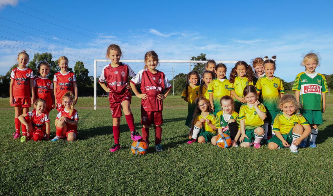 Some of the participants in the first-ever all-girls under 6/7s "Mini-roos" competition. Picture by Wesley Lonergan 