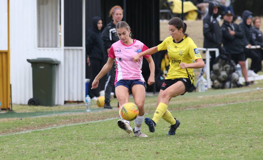 LEADER: Danika Matos looks to pass the ball to an Illawarra Stingrays teammate during a game against the Koalas. Picture: Georgia Matts