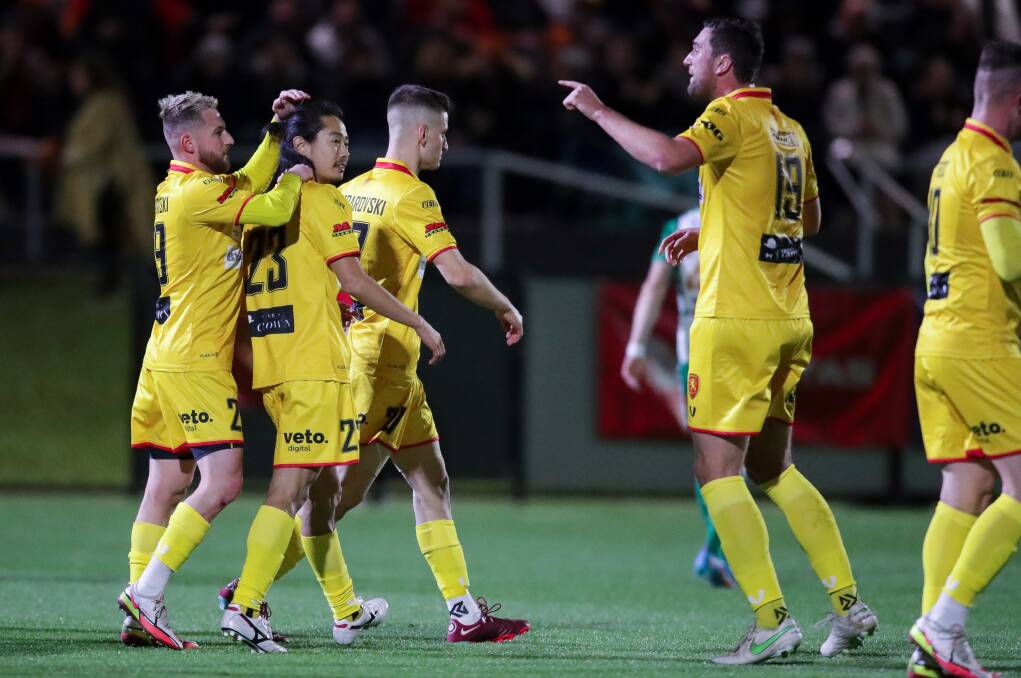 Wollongong United star Mitsuo Yamada (second from left) celebrates with his teammates after scoring a goal earlier this year. Picture by Adam McLean