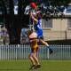 STANDING TALL: Figtree's Will Foster flies high to take a big mark over his Tigers opponent. Picture: Wesley Lonergan